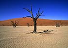 Namibia - afrykański sen o przygodach