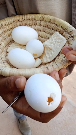 Zdjęcie z Tunezji -  nie wiem co ten gościu robił (bo gadał tylko po arabsku), ale robił dziurki w jajach 