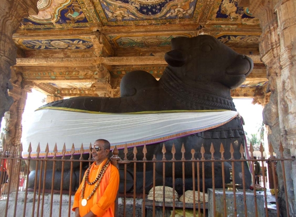 Zdjęcie z Indii - Nandi - wierzchowiec Śiwy