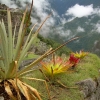 Machu Picchu - Zdjęcie Machu Picchu