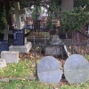 Zdjęcie z Polski - stary cmentarz