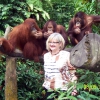 Fotka z orangutanami - Zdjęcie Fotka z orangutanami