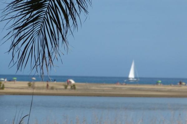 Zdjęcie z Hiszpanii - scenki plażowe