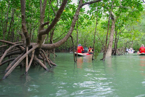 Zdjęcie z Tajlandii - AO PHANG NGA