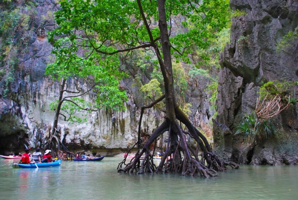 Zdjęcie z Tajlandii - PHANG NGA laguna