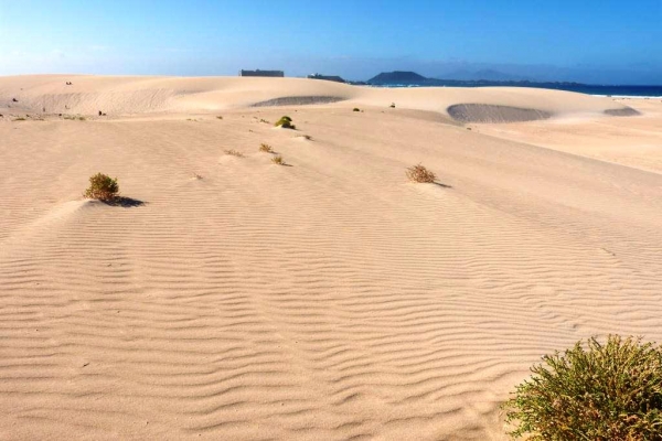 Zdjęcie z Hiszpanii - Corralejo