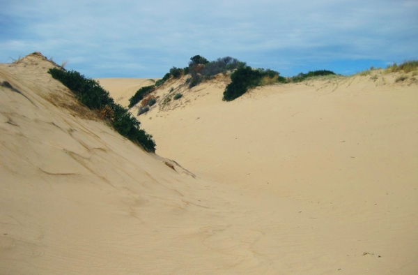 Zdjęcie z Australii - Wydmy Coorong