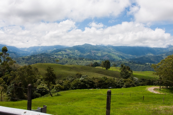 Zdjęcie z Australii - Adelaide Hills