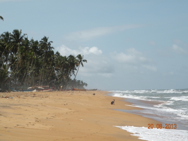 Zdjęcie ze Sri Lanki - 