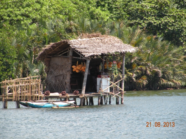 Zdjęcie ze Sri Lanki - 