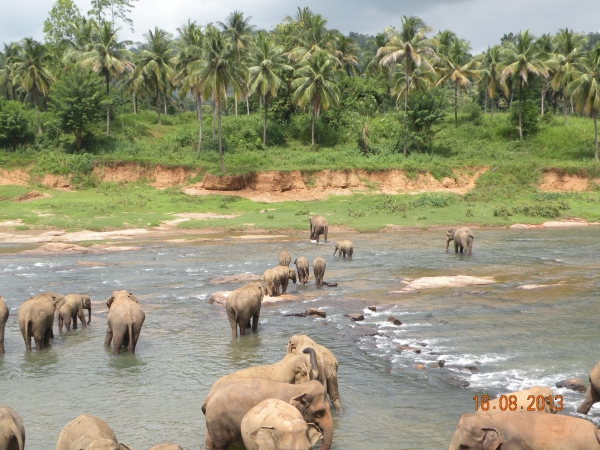 Zdjęcie ze Sri Lanki - 