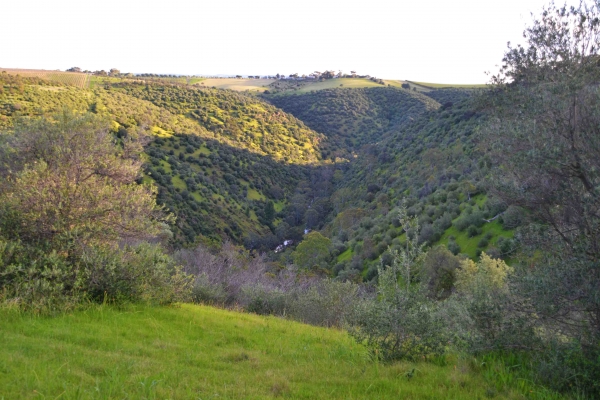 Zdjęcie z Australii - Onkaparinga Gorge