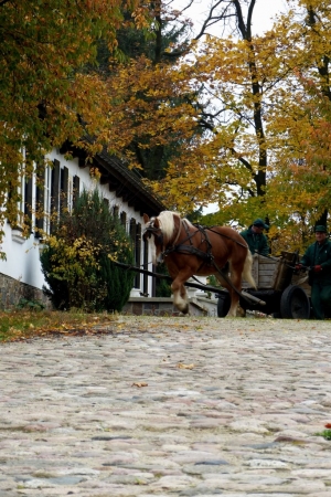 Zdjęcie z Polski - 