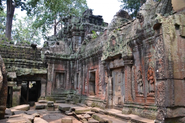 Zdjęcie z Kambodży - Ta Prohm