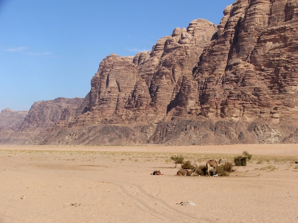 Zdjęcie z Jordanii - wadi rum