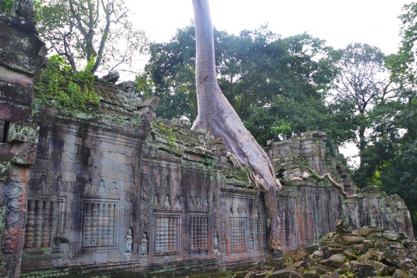 Zdjęcie z Kambodży - Preah Khan