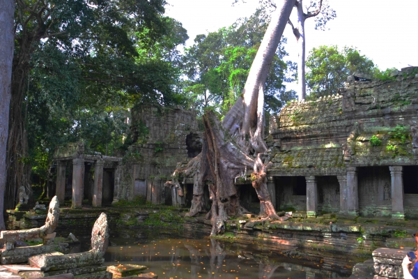 Zdjęcie z Kambodży - Preah Khan