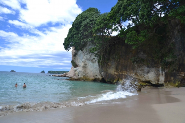 Zdjęcie z Nowej Zelandii - Cathedral Cove