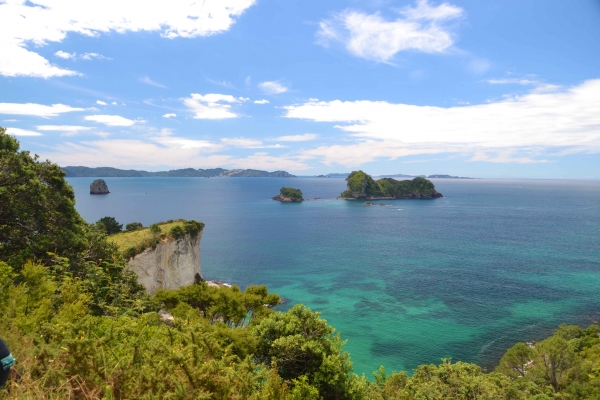 Zdjęcie z Nowej Zelandii - Cathedral Cove