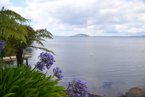 Zdjęcie z Nowej Zelandii - Lake Rotorua