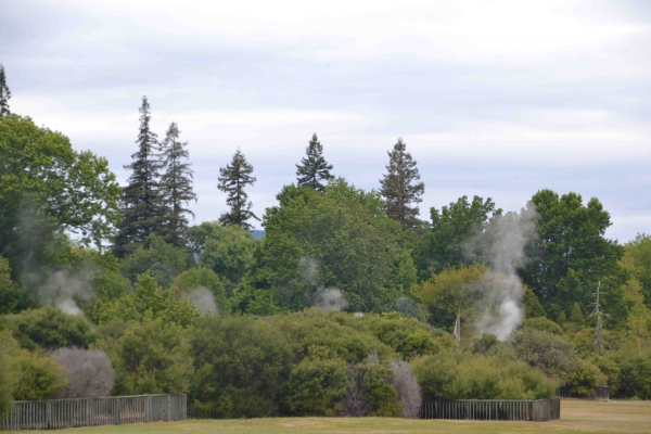 Zdjęcie z Nowej Zelandii - Kuirau Park w centrum Rotorua