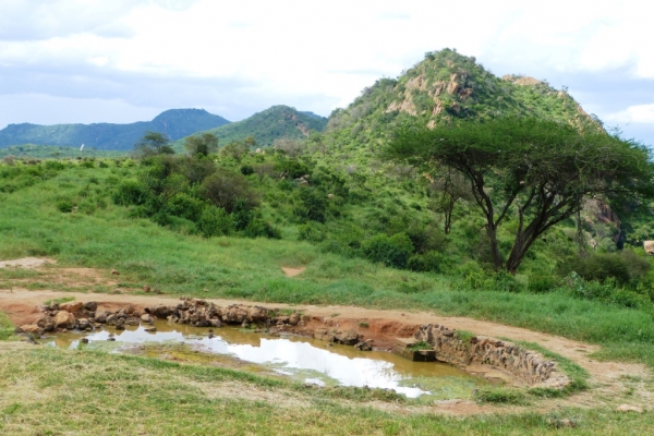 Zdjęcie z Kenii - wodopój przy Ngulia Lodge; poza małpami i warugami zbyt wiele zwiwerzaków tu nie było:(