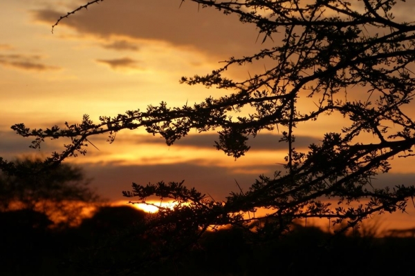 Zdjęcie z Kenii - wschód słońca trwa....