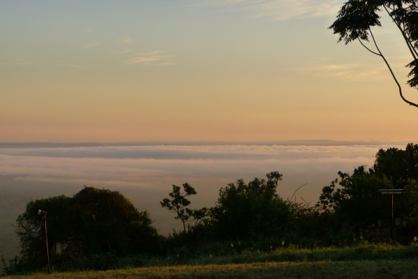 Zdjęcie z Kenii - sawanna o wschodzie wygląda fenomenalnie; mgły ścielą się nad ogromną przestrzenią...