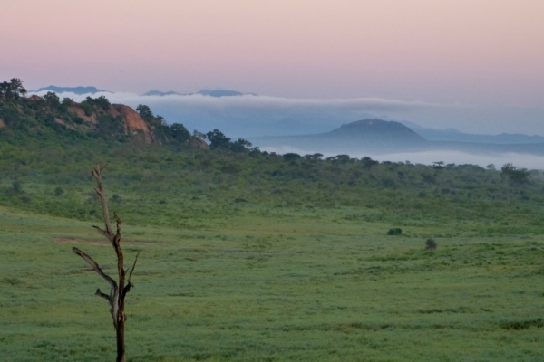 Zdjęcie z Kenii - mgły się ścielą nad sawanną...