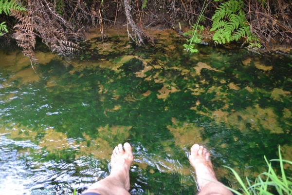 Zdjęcie z Nowej Zelandii - Pomimo, ze woda tak goraca, ze nie mozna wytrzymac dluzej niz 20 sekund