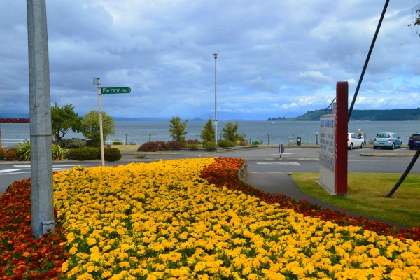 Zdjęcie z Nowej Zelandii - Nad jeziorem w Taupo