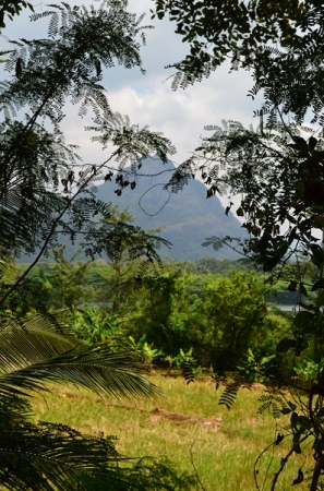 Zdjęcie ze Sri Lanki - 