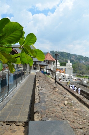 Zdjęcie ze Sri Lanki - KANDY