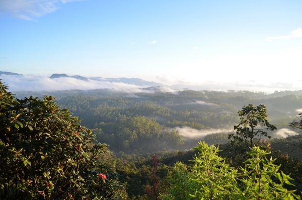 Zdjęcie ze Sri Lanki - HORTON PLAINS - ROWNINY HORTONA ROBIA MEGA WRAZENIE