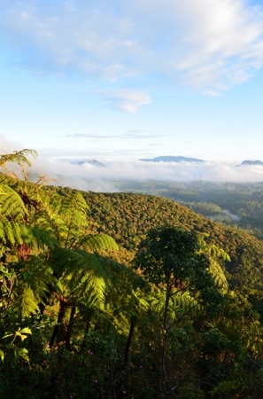 Zdjęcie ze Sri Lanki - HORTON PLAINS - ROWNINY HORTONA ROBIA MEGA WRAZENIE