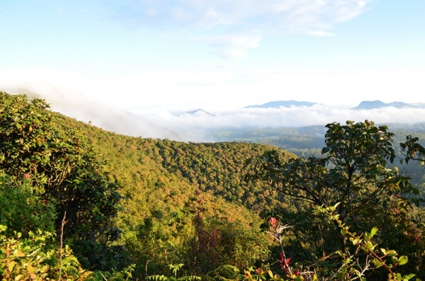 Zdjęcie ze Sri Lanki - HORTON PLAINS