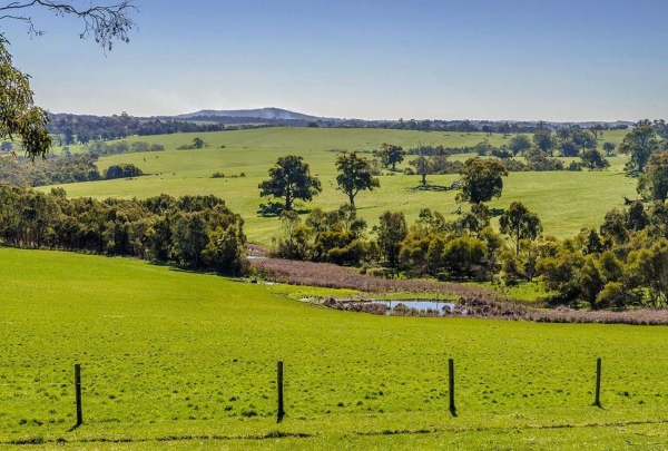 Zdjęcie z Australii - Okolice Kangarilla