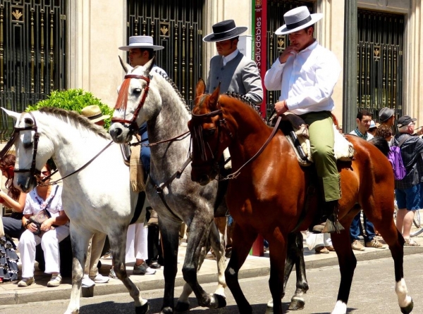 Zdjęcie z Hiszpanii - konna parada, czyli fiesta de Granada