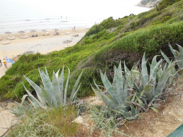 Zdjęcie z Grecji - Gerakas beach