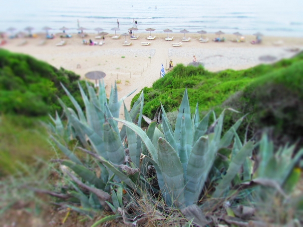 Zdjęcie z Grecji - Gerakas beach