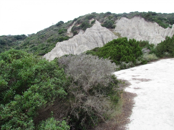 Zdjęcie z Grecji - Gerakas beach