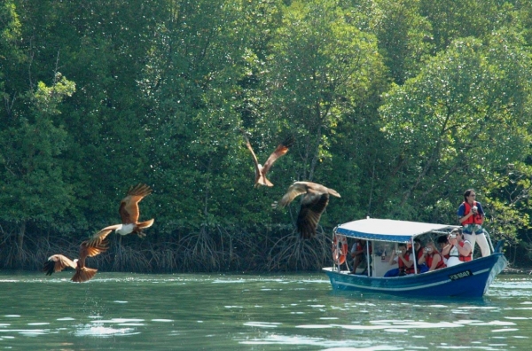 Zdjęcie z Malezji - LANGKAWI