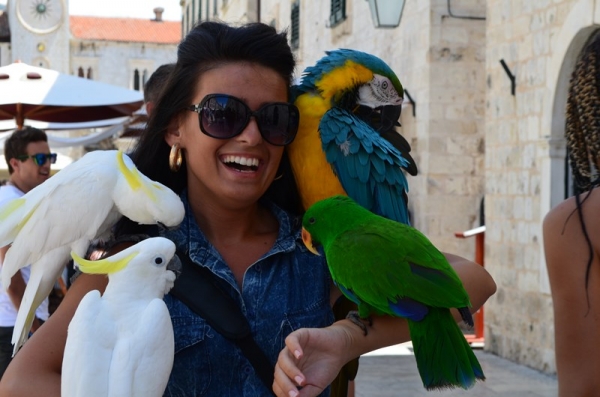 Zdjęcie z Chorwacji - DUBROVNIK