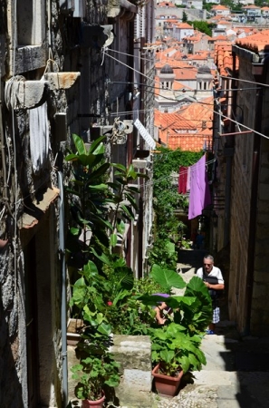 Zdjęcie z Chorwacji - DUBROVNIK