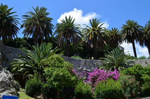 Zdjęcie z Chorwacji - DUBROVNIK