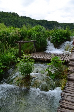 Zdjęcie z Chorwacji - PLITWICKIE JEZIORA