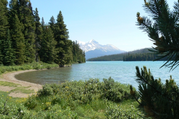 Zdjęcie z Kanady - Maligne Lake