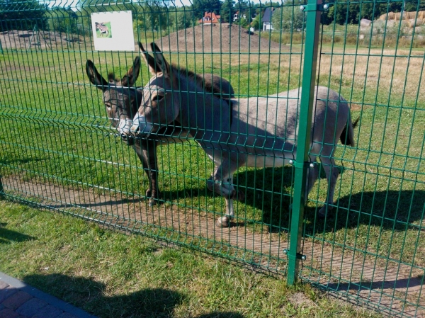 Zdjęcie z Polski - 