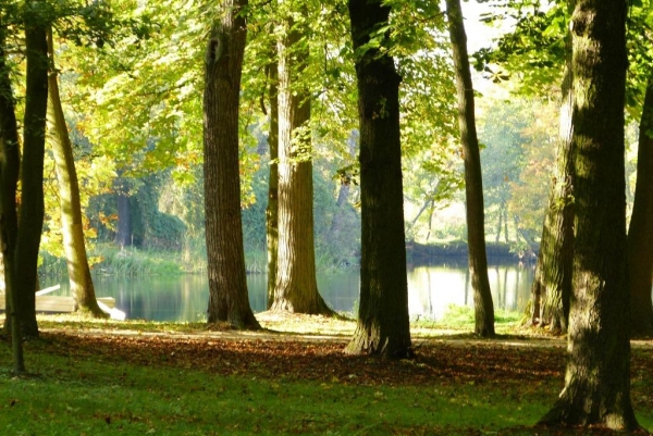 Zdjęcie z Polski - park w Arkadii