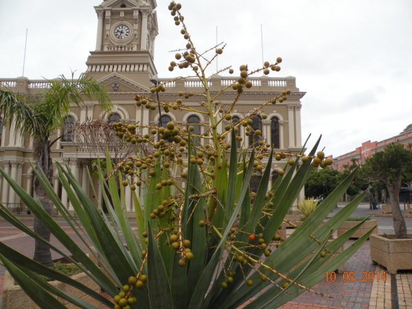 Zdjęcie z Republiki Półudniowej Afryki - Port Elizabeth